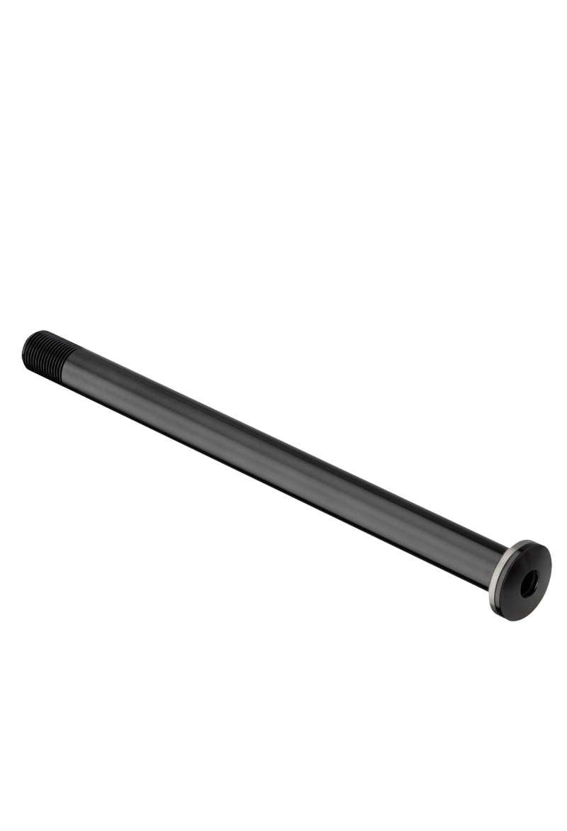 DT SWISS RWS Plug In-forhjulsklemme 12x100 mm
