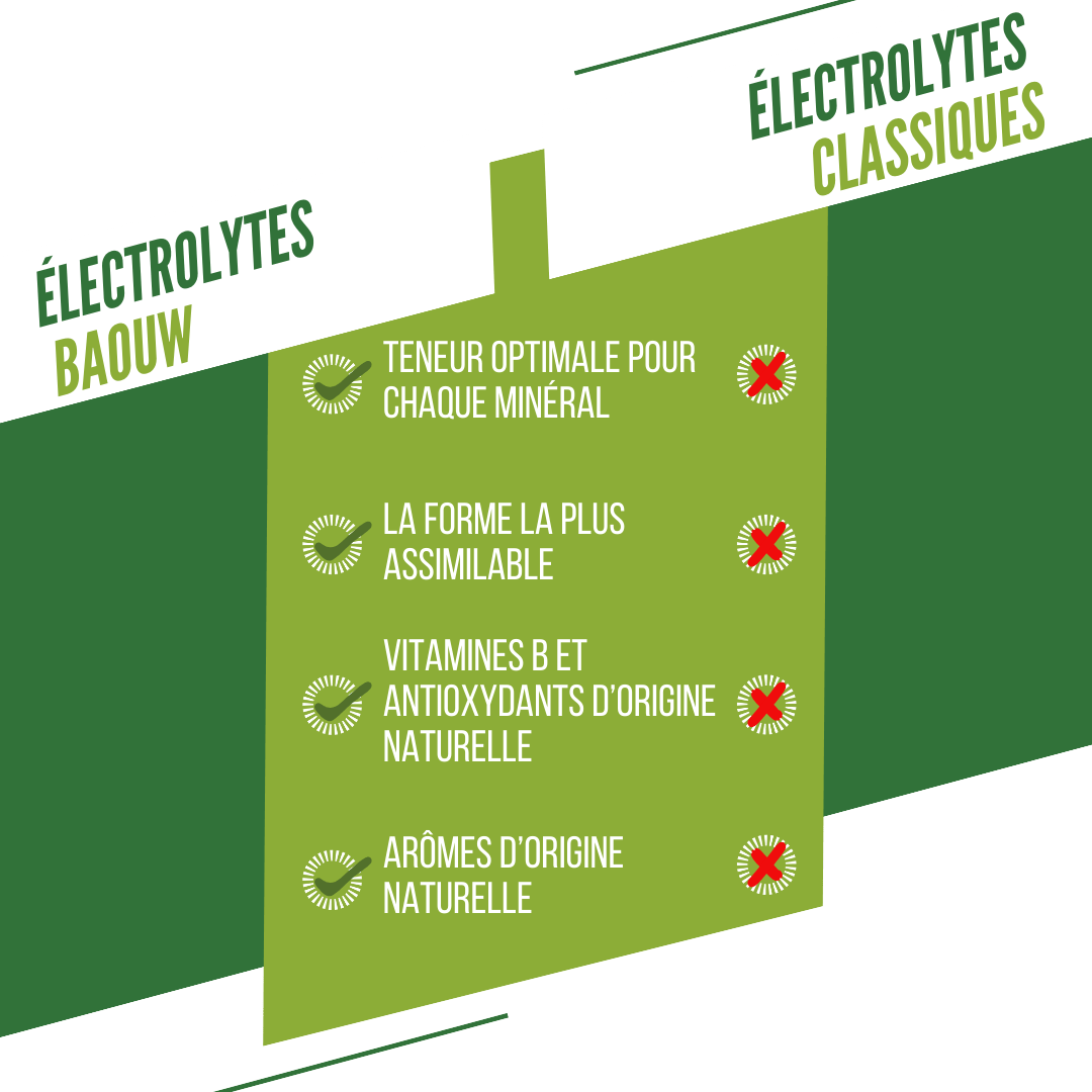 BAOUW Energy Drink (Tube med 10 tabletter) Limefrugt/Mynte