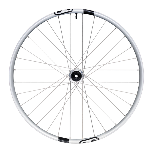 Baghjul CRANKBROTHERS SYNTHESIS Aluminium 2.0 E-BIKE I9 29" 12x148 mm Boost Silver