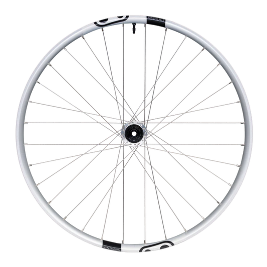 Baghjul CRANKBROTHERS SYNTHESIS Aluminium 2.0 DH I9 29" 12x157 mm Super Boost Silver