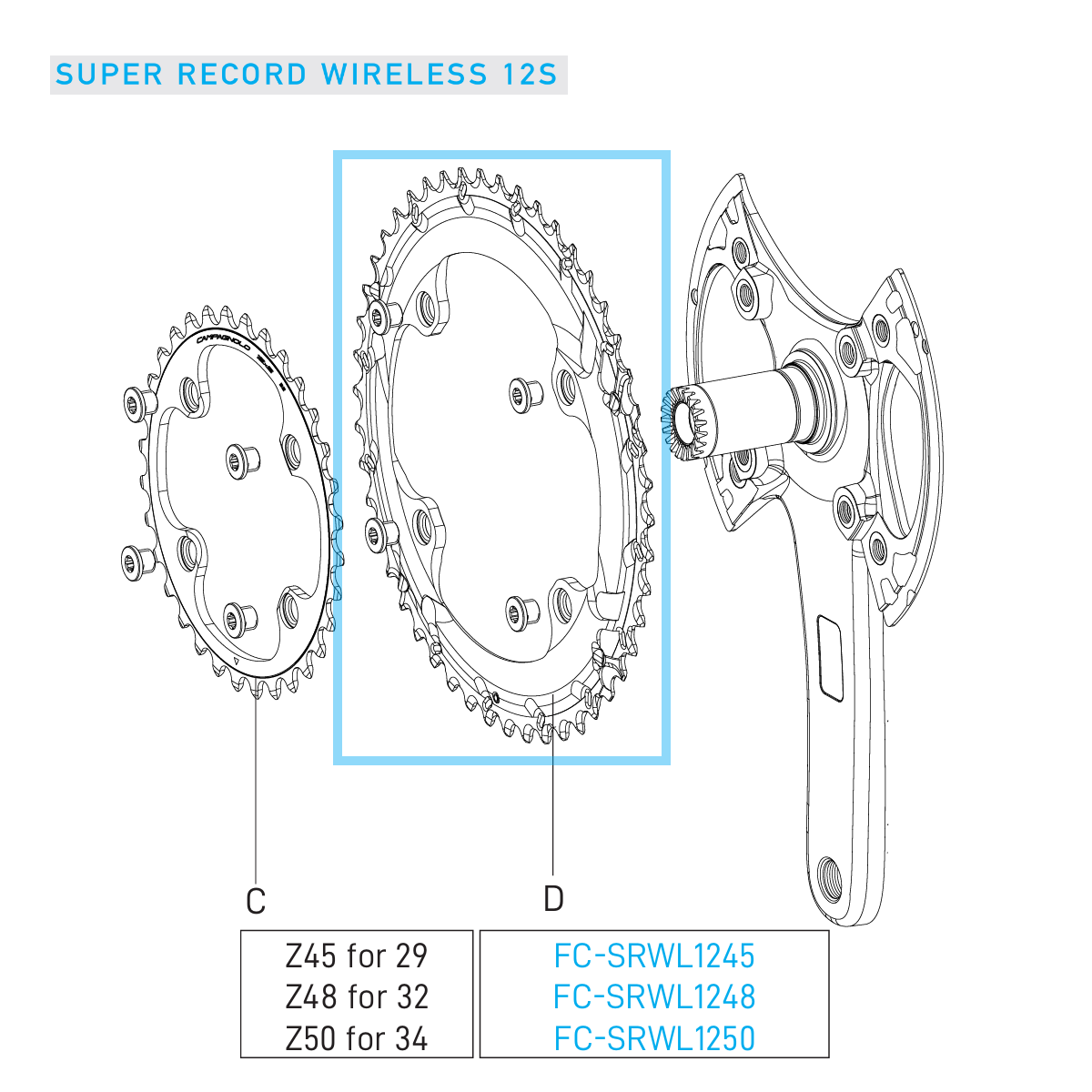 Udendørs 12V CAMPAGNOLO SUPER RECORD WRL Bakke