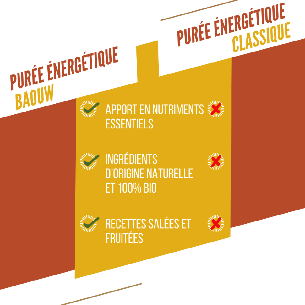 BAOUW Organic Recipe Mango/Passion/Ginger Energy Puree (90 g)