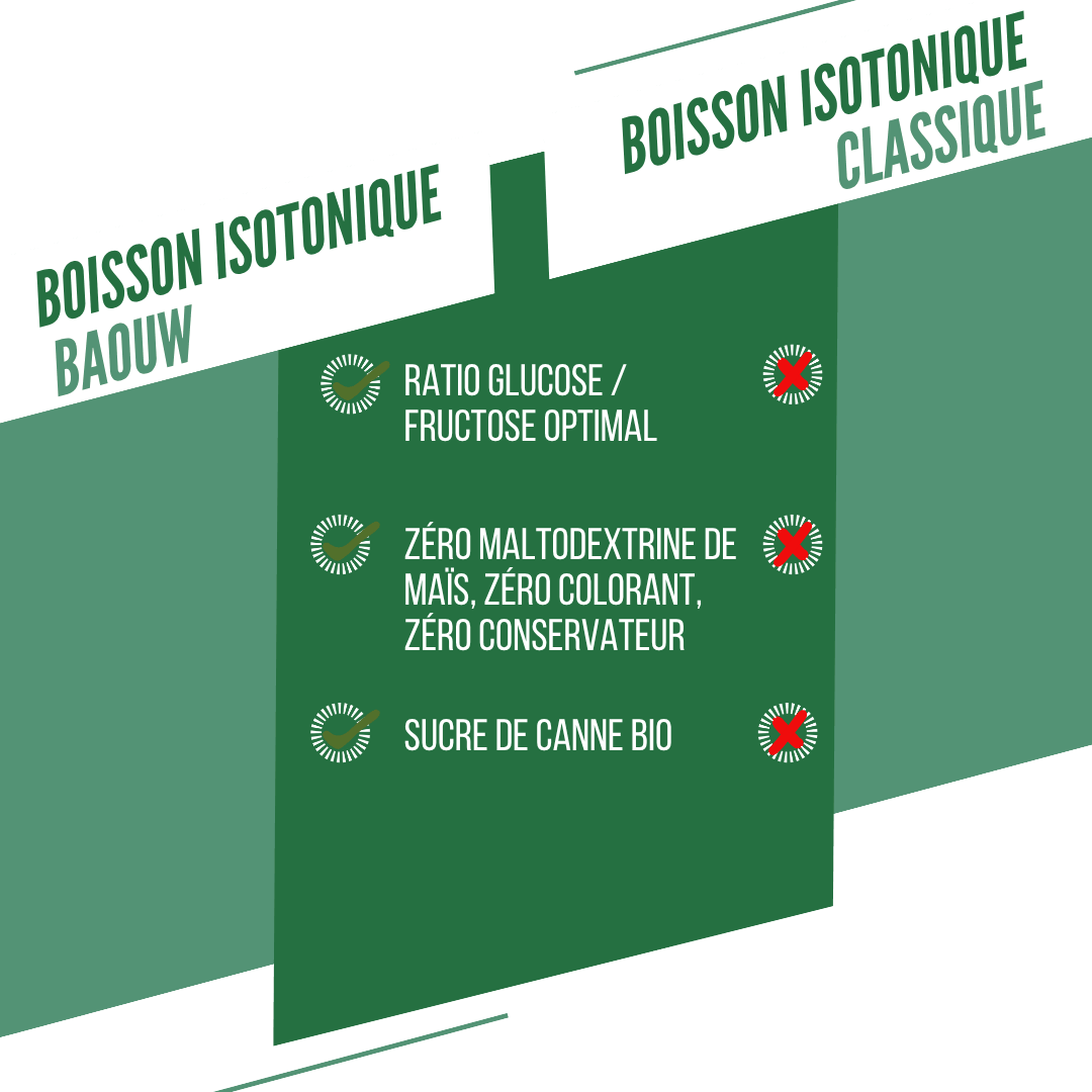 BAOUW ISOTONIC energidrik (45 g) Mint/Melissa