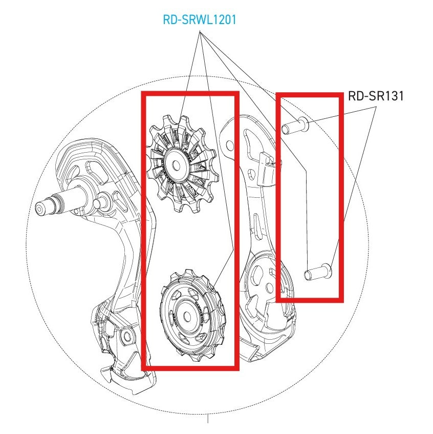 CAMPAGNOLO SUPER-RECORD 12V WRL DISC Bagskifter Hjul