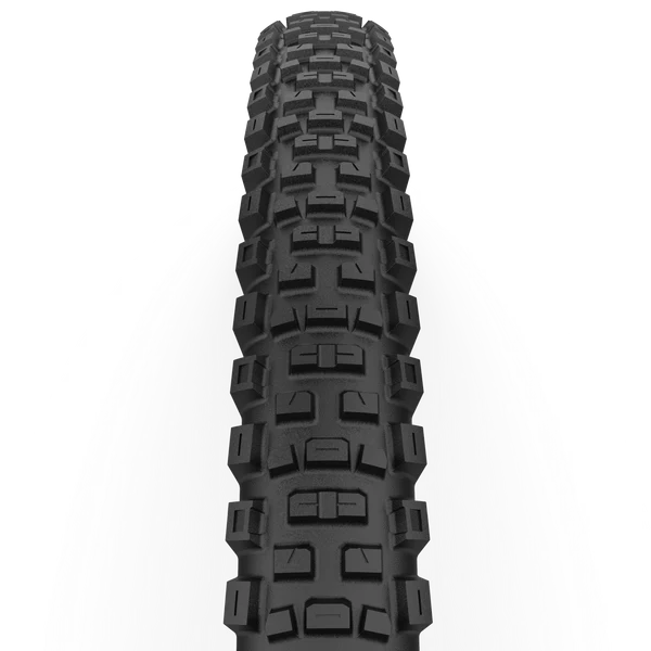 CAST ANTAGONIST 29x2.40 DualWall Smart Evo DH Tubeless Ready tire