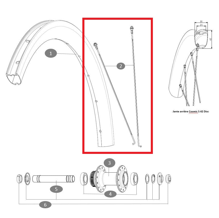 Sæt med 12 MAVIC COSMIC S42 273 mm eger for/bag