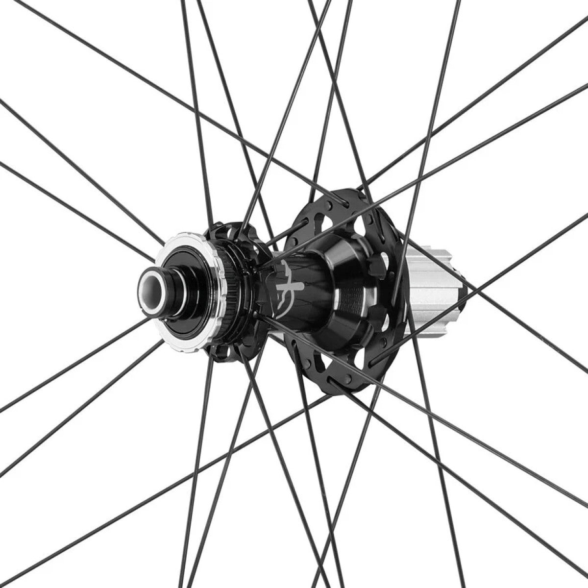 CAMPAGNOLO SHAMAL DISC Tubeless Ready baghjul (Center Lock)