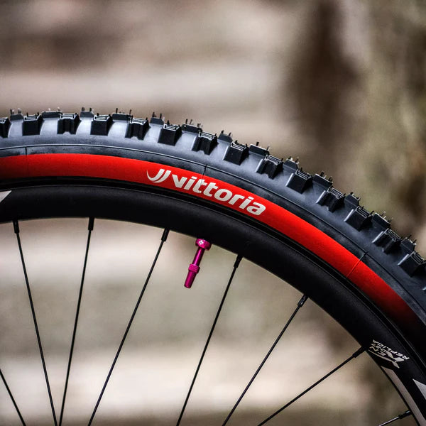 VITTORIA MAZZA ENDURO RACE 29x2.60 Graphene/Silica Tubeless Ready Soft Black-dæk