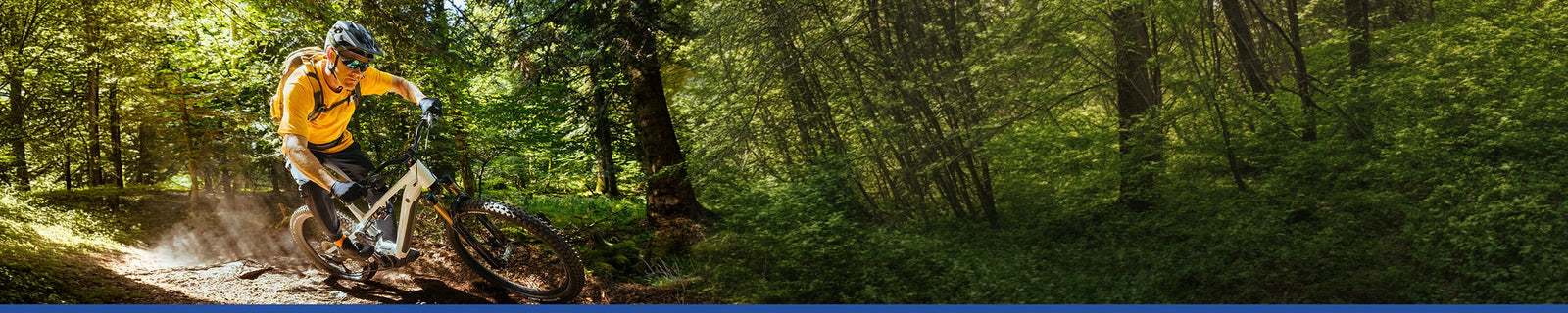 MICHELIN | MTB-dæk