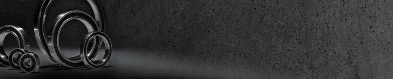 MTB | Lejer | Standarder