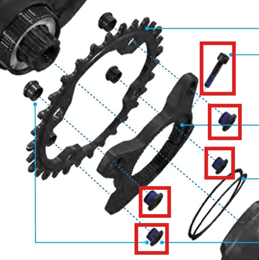 SRAM-boltsæt til MAHLE SPECIALIZED-motor