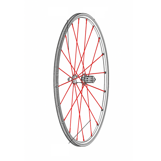 SÆT MED 12 MAVIC CROSSRONE/CROSSRIDE FTSX 262 MM BAGESTE EGER