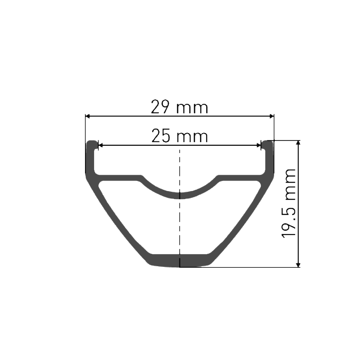DT SWISS X 1900 SPLINE 29'' 25 mm 15x110 mm forhjul