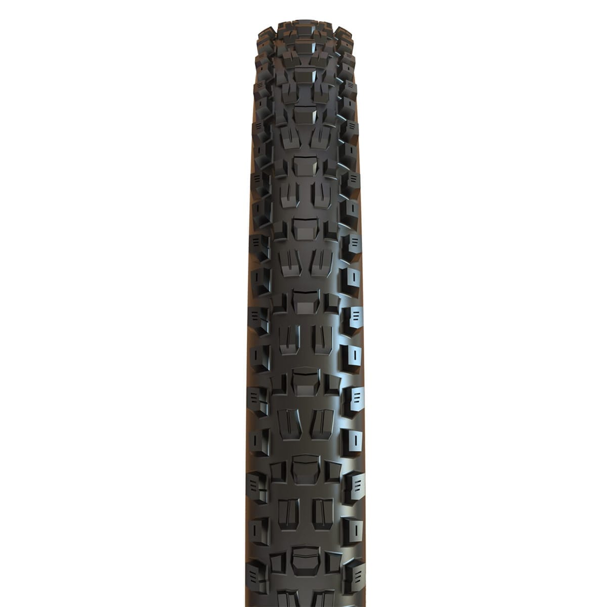 MAXXIS ASSEGAI 29x2.50 WT BikePark DH tire Tubeless Ready Rigid Black