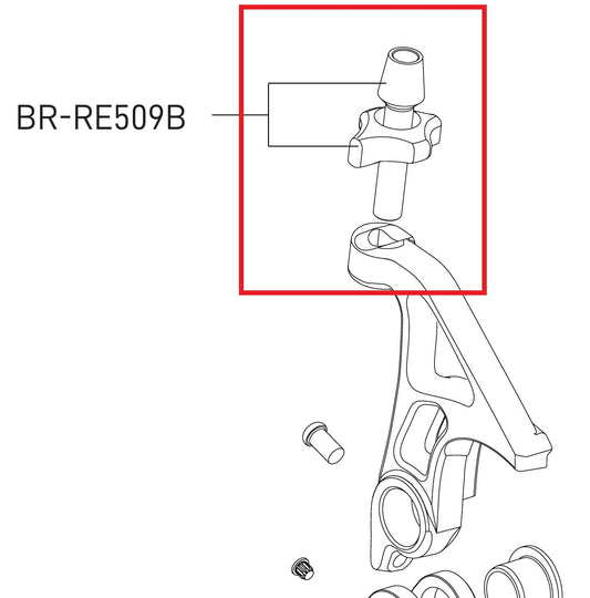 Justeringsskrue til direkte monteret bremsekaliber CAMPAGNOLO SUPER RECORD / RECORD 12V