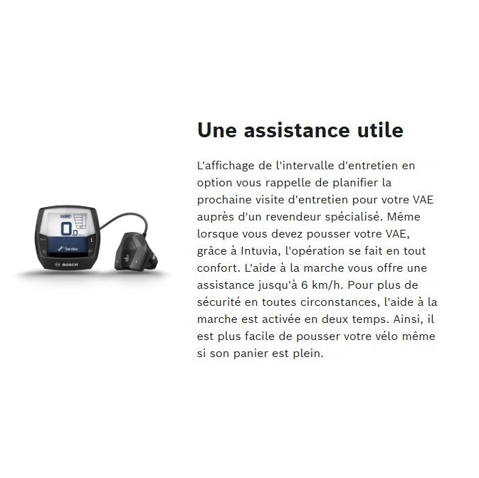 BOSCH INTUVIA display Gray