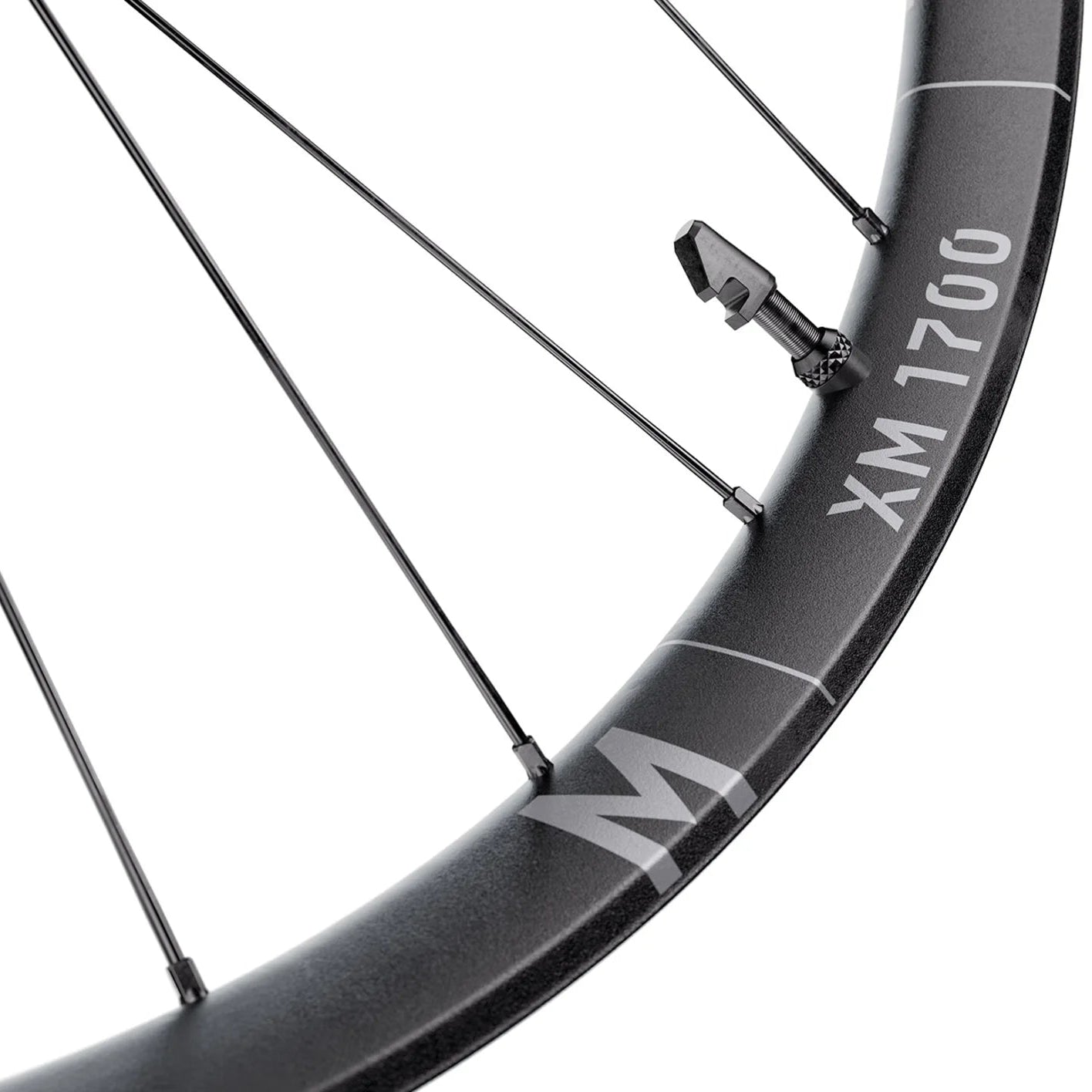 DT SWISS XM 1700 SPLINE 30 mm 29" 15x110 mm Boost 2026 front wheel