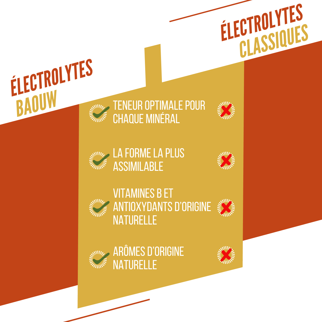 BAOUW Energy Drink (Tube med 10 tabletter) Mango/Ananas