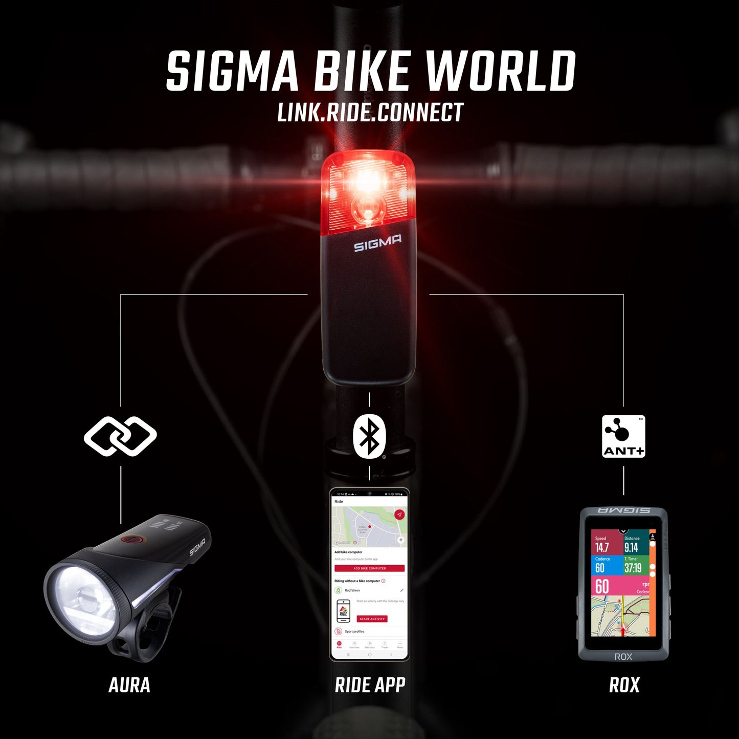 Rear lighting SIGMA RECO 81 LINK
