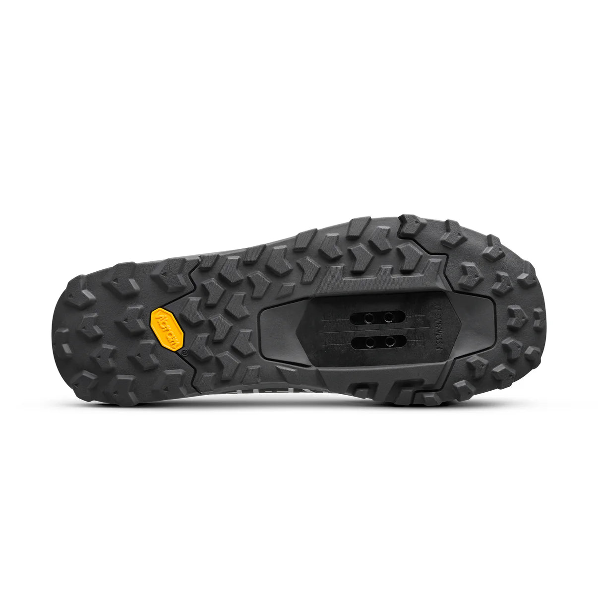 FIZIK ERGOLACE 2 GTX mountainbike-sko, sort