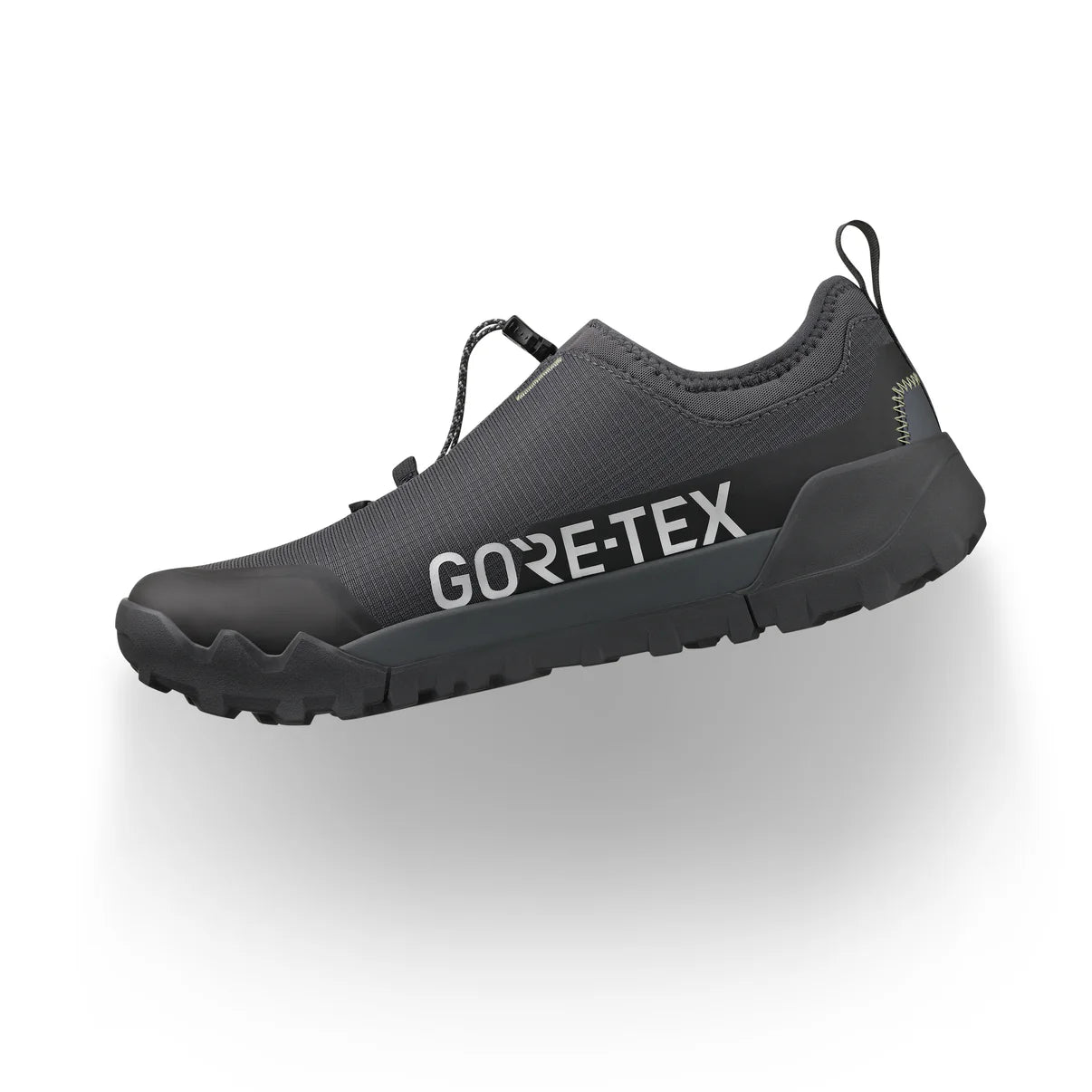 FIZIK ERGOLACE 2 GTX mountainbike-sko, sort