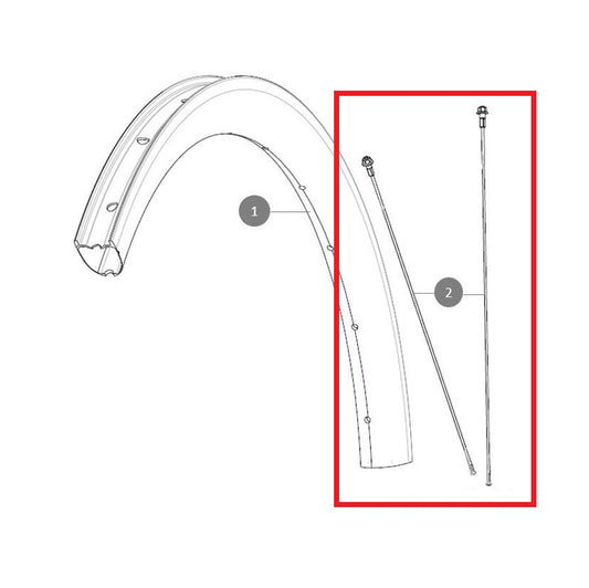 Sæt med 12 MAVIC ALLROAD SL Carbon 278 mm eger for og bag