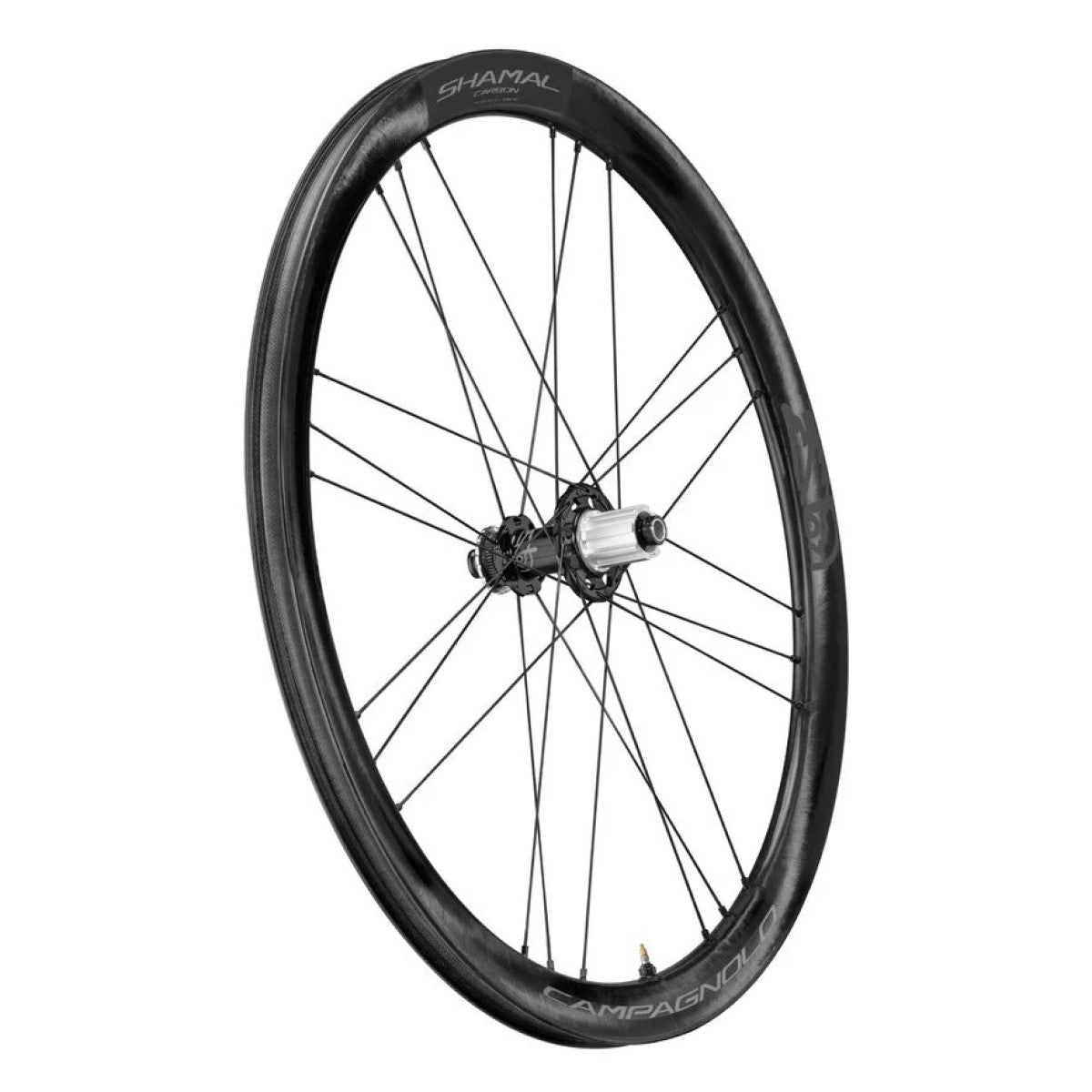 CAMPAGNOLO SHAMAL DISC Tubeless Ready baghjul (Center Lock)